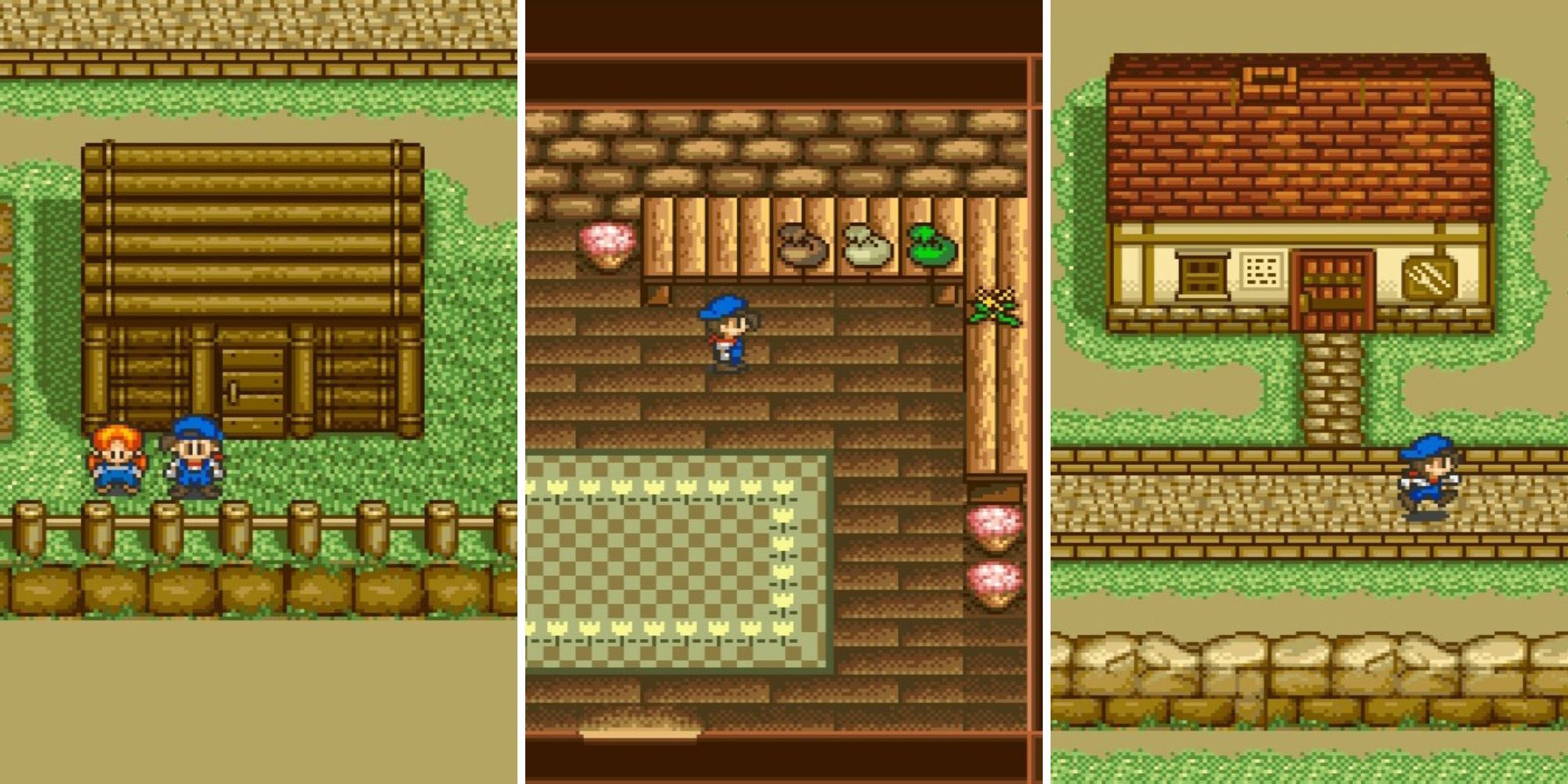 Collage of various places in town in Harvest Moon.