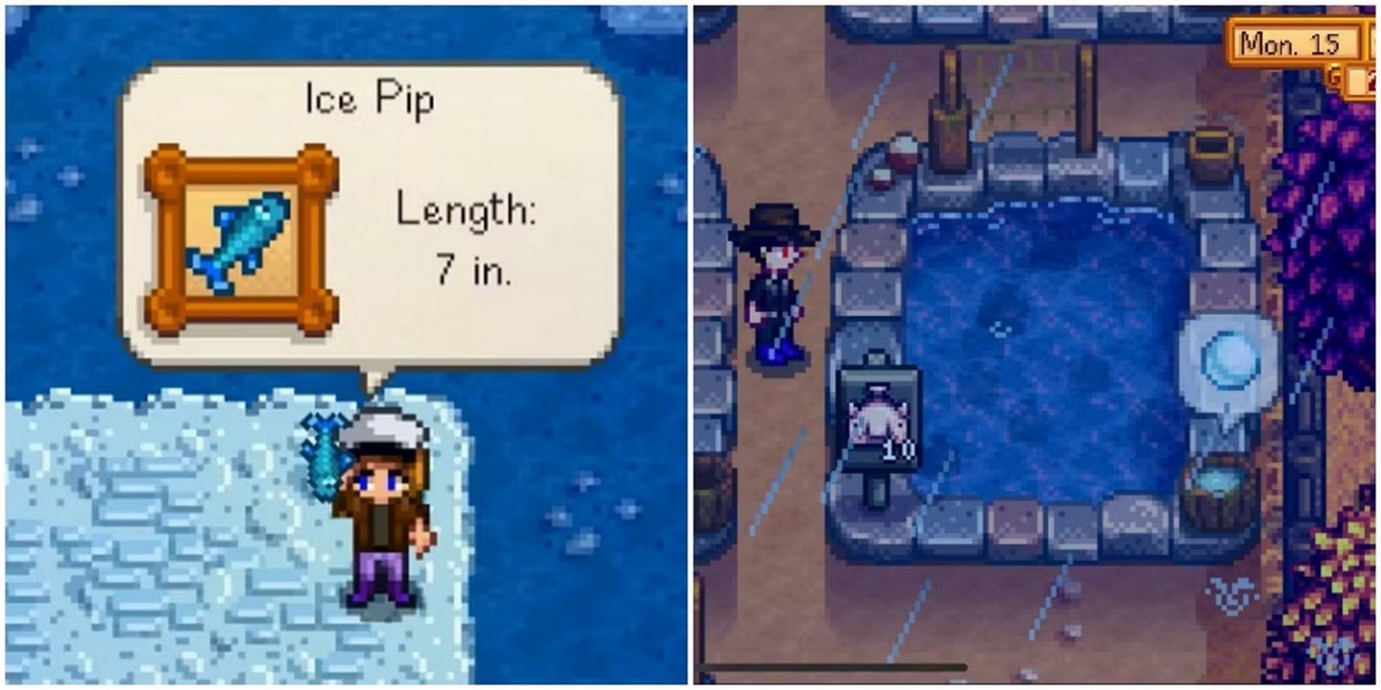 The Most Expensive Fish In Stardew Valley