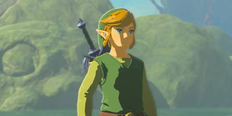Link - The Legend Of Zelda: Tears Of The Kingdom