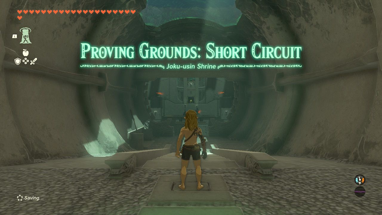 Link inside the Joku-usin Shrine in Tears of the Kingdom