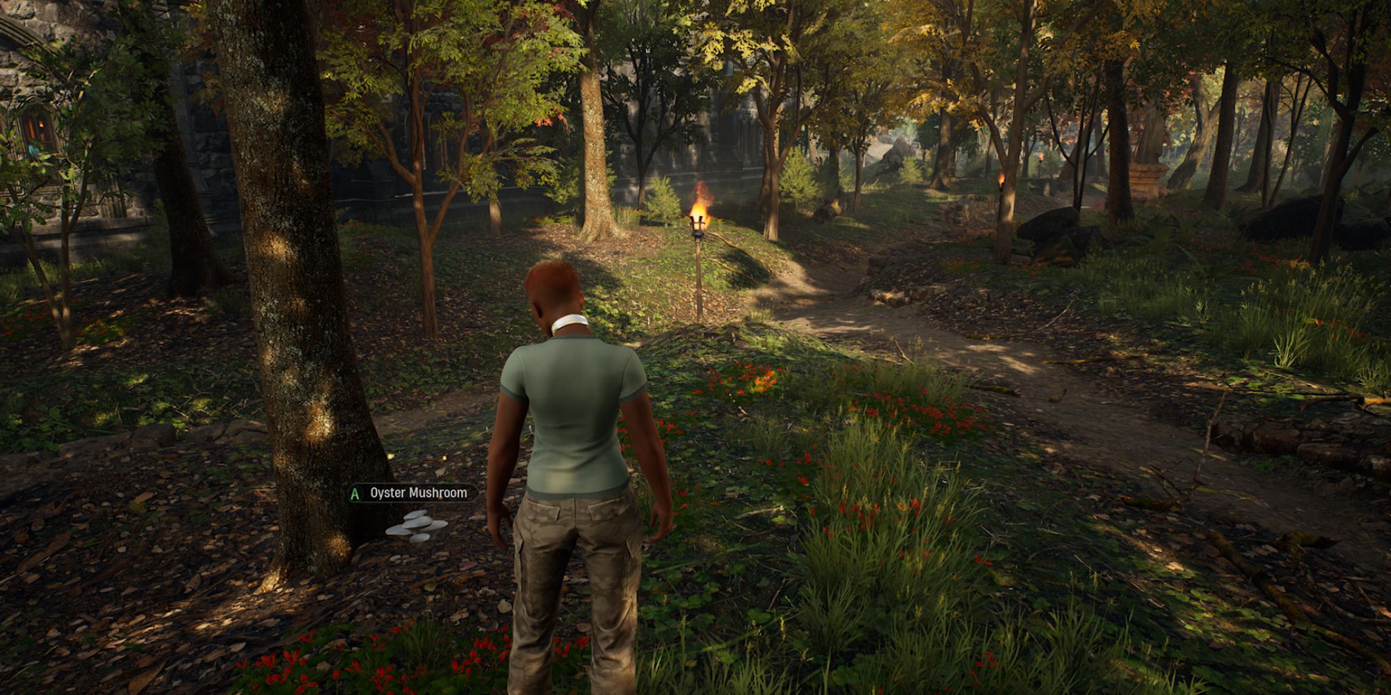 Where To Find Every Reagent In Marvel's Midnight Suns