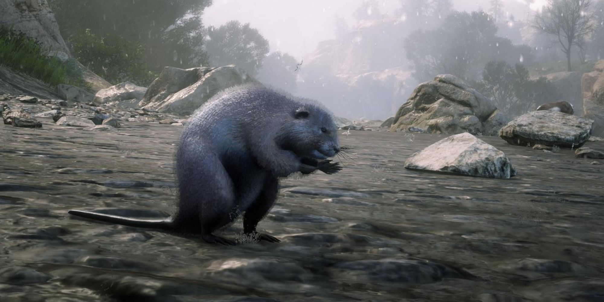 An image of the Muskrat from Red Dead Redemption 2, a small gray rodent that lives around rivers.