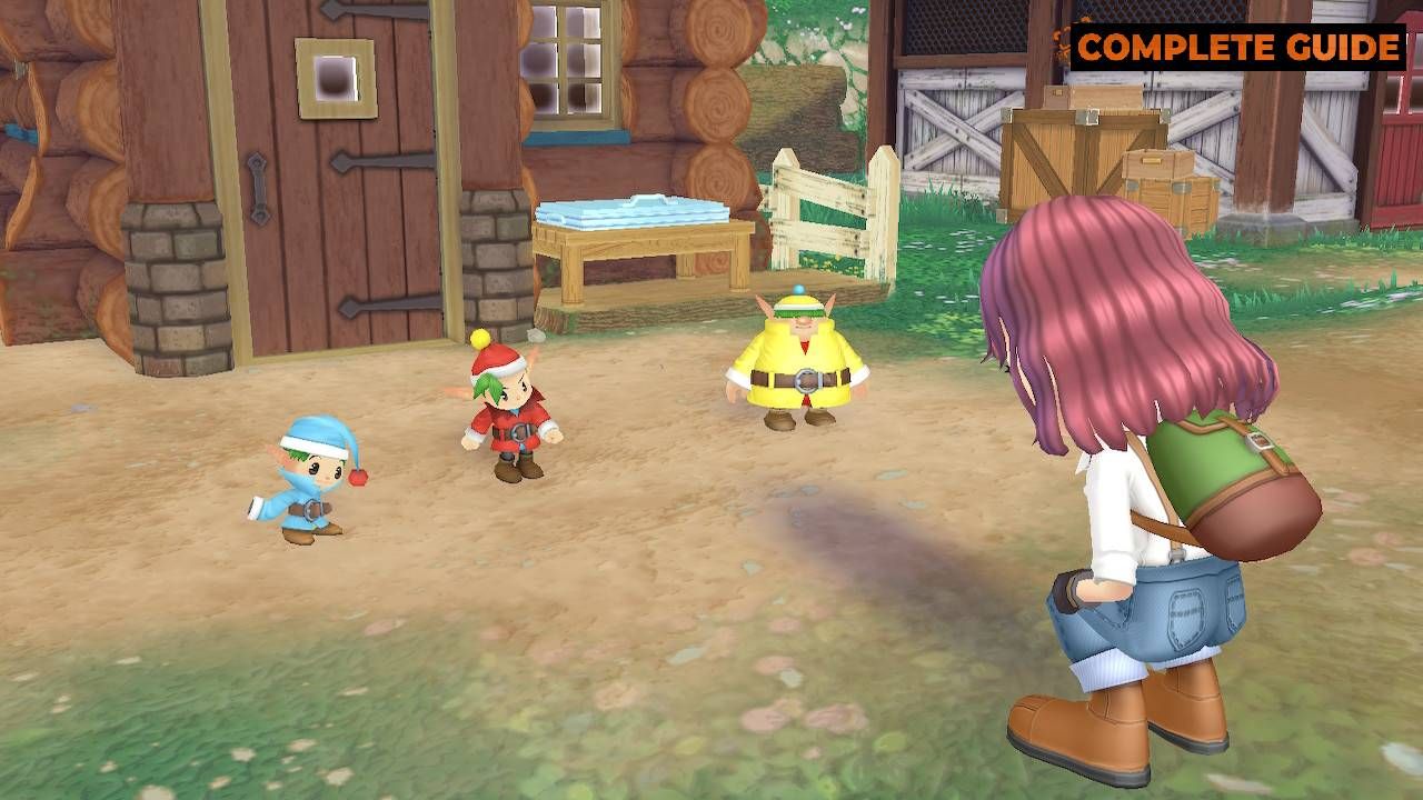 Story Of Seasons: A Wonderful Life Beginner Tips & Tricks - How To