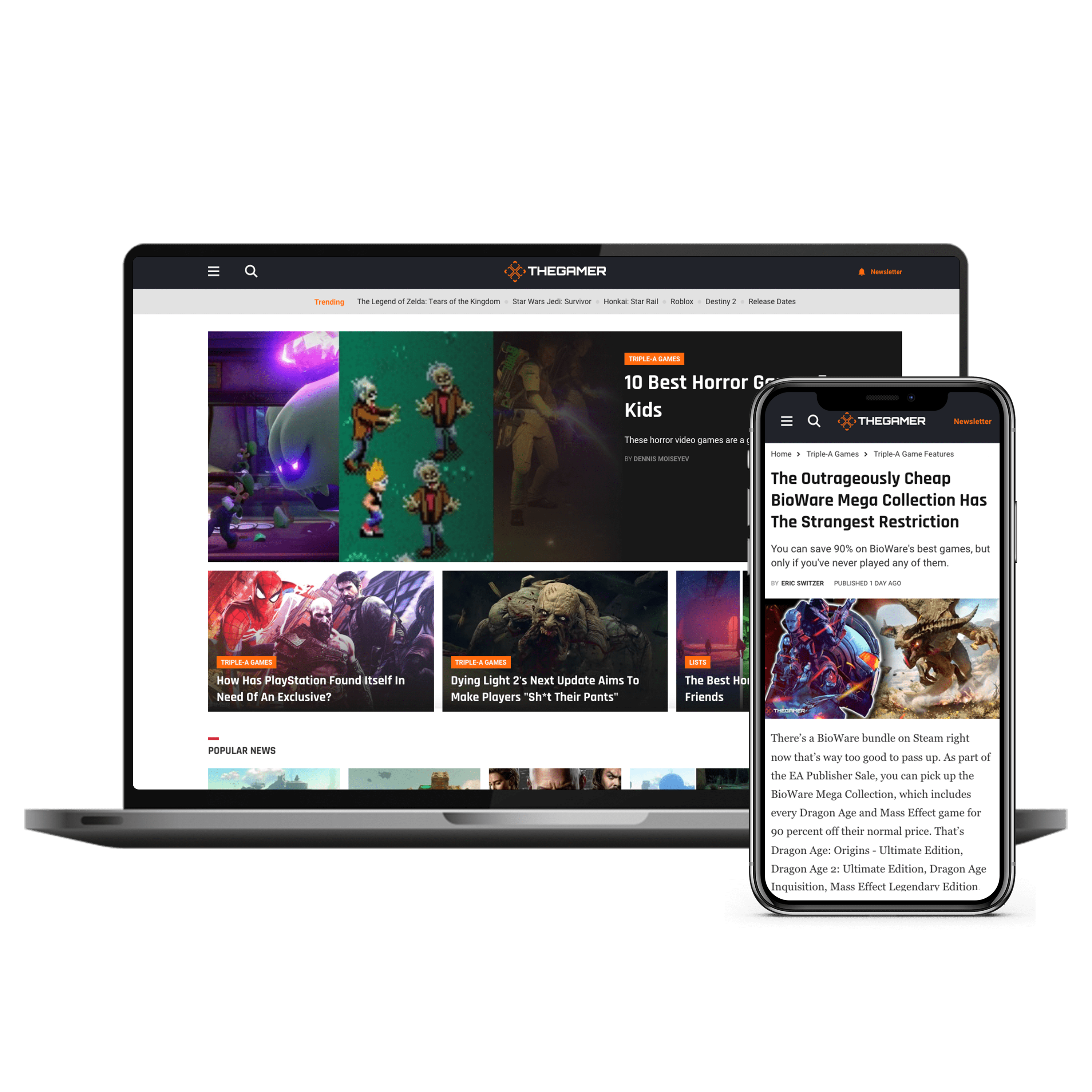 TheGamer website