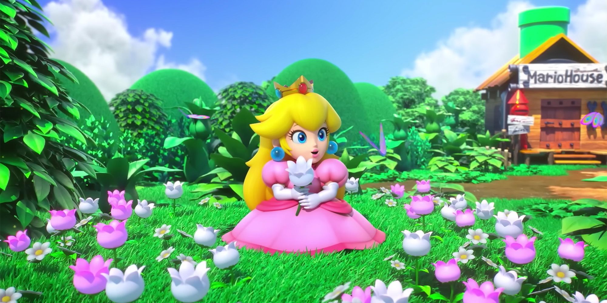 Super Mario RPG Remake: Princess Peach Sitting In A Field Of Flowers
