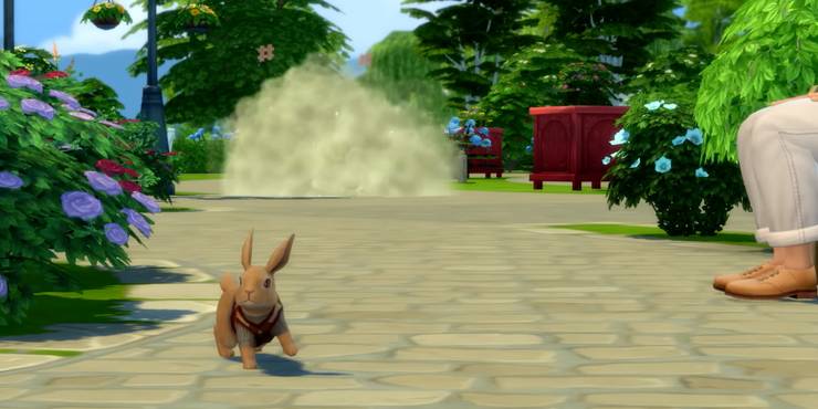 Death By Killer Rabbit