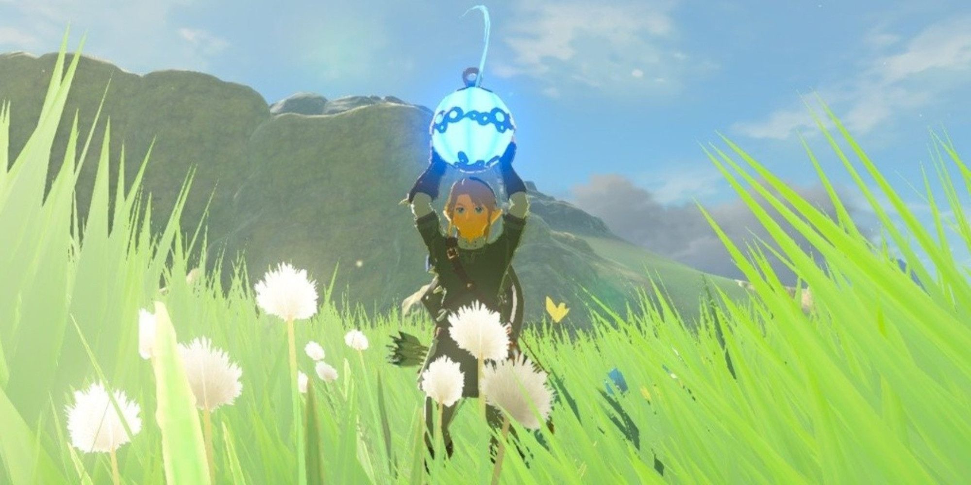 Link holding a Remote Bomb in Breath of the Wild