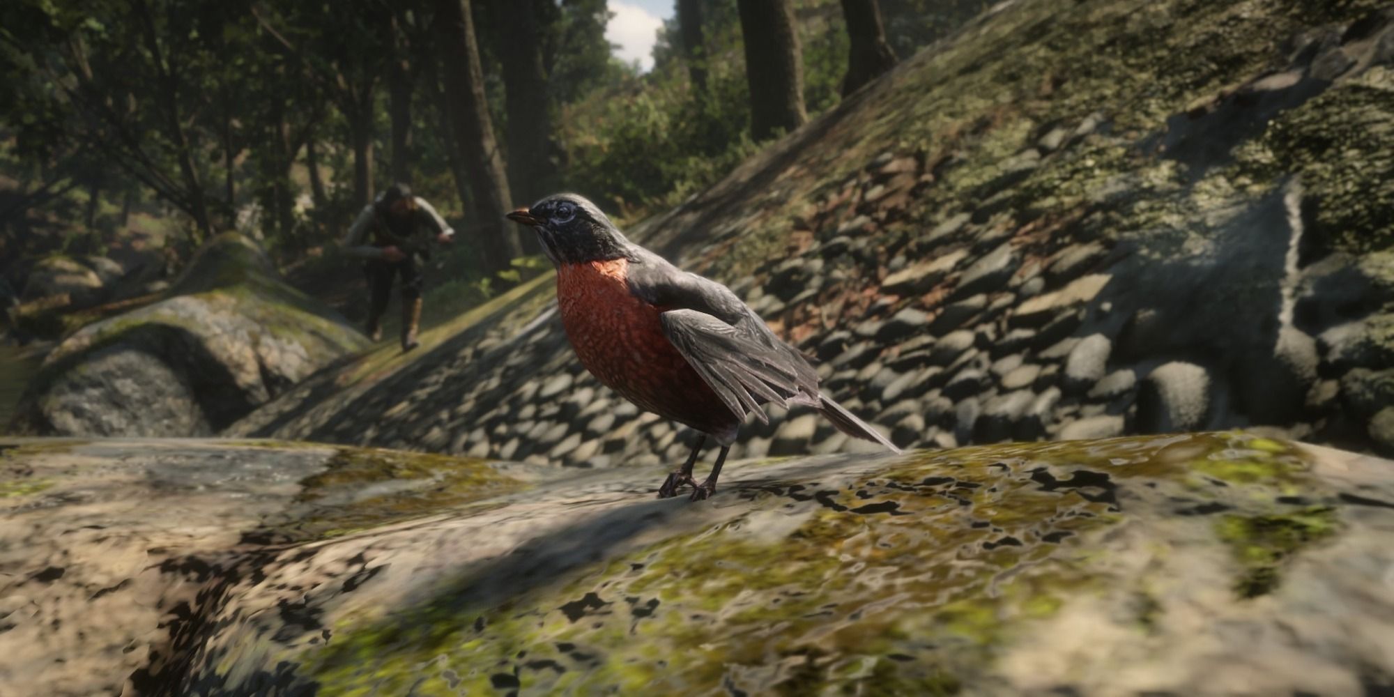 An image of the Robin from Red Dead Redemption 2, featuring the bird sitting on a rock and showing off its classic red body.