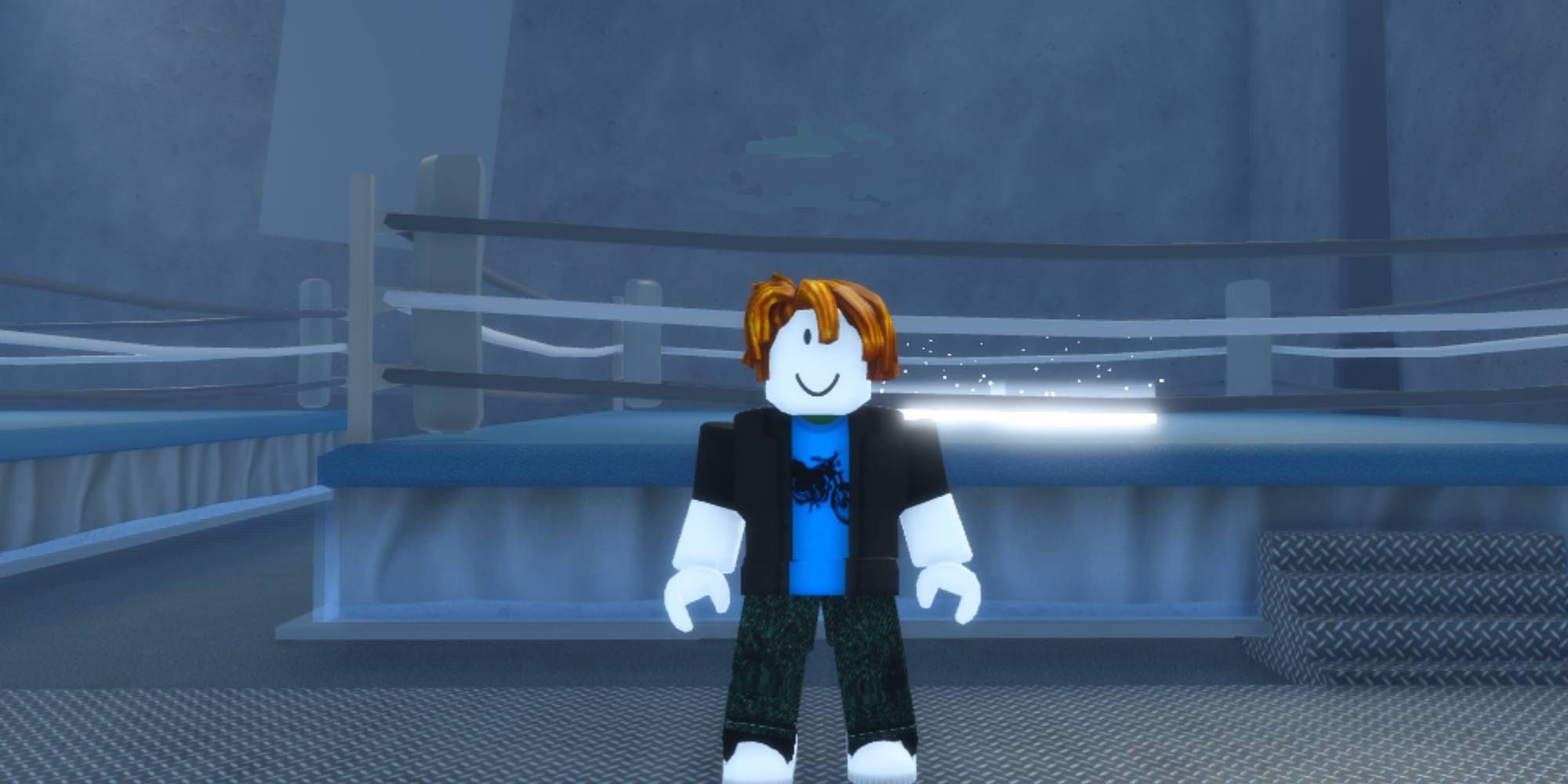 Shadow Boxing Fights Codes - Roblox