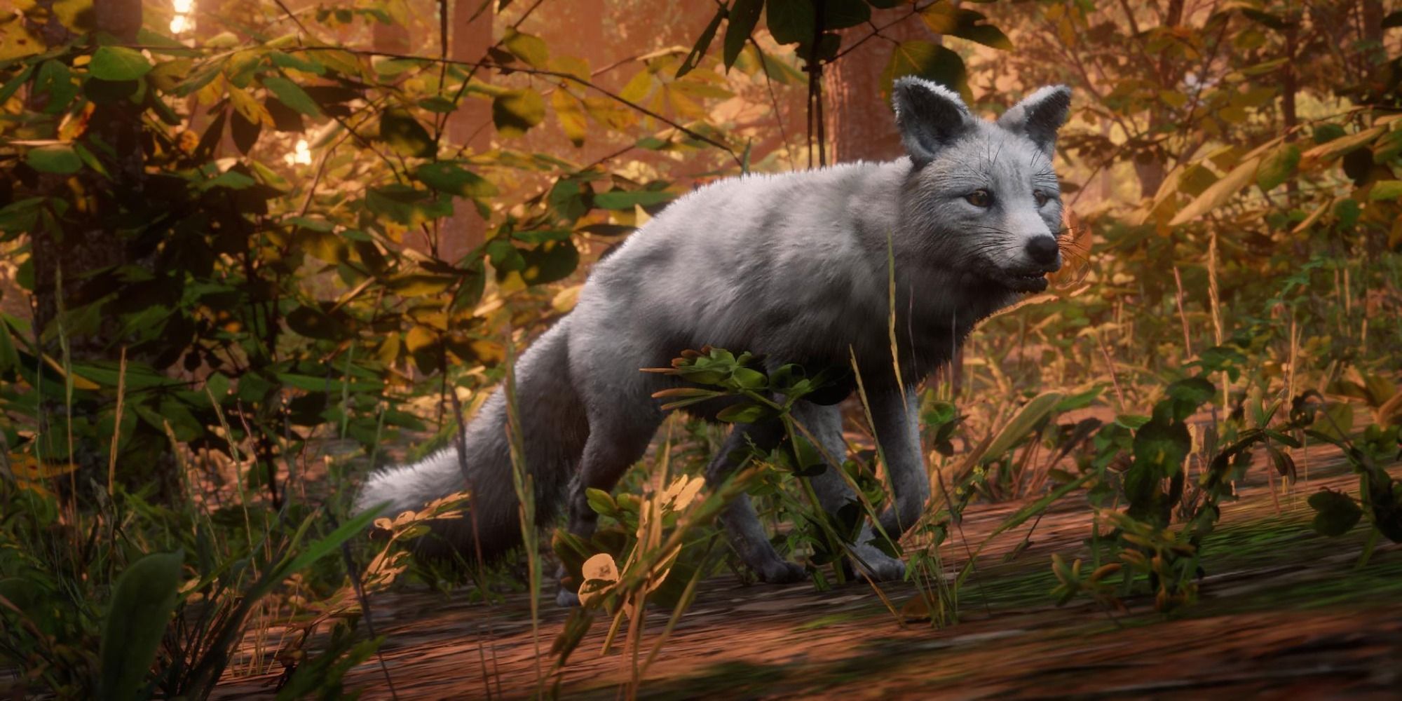An image of the Silver Fox from Red Dead Redemption 2 running through a forest.