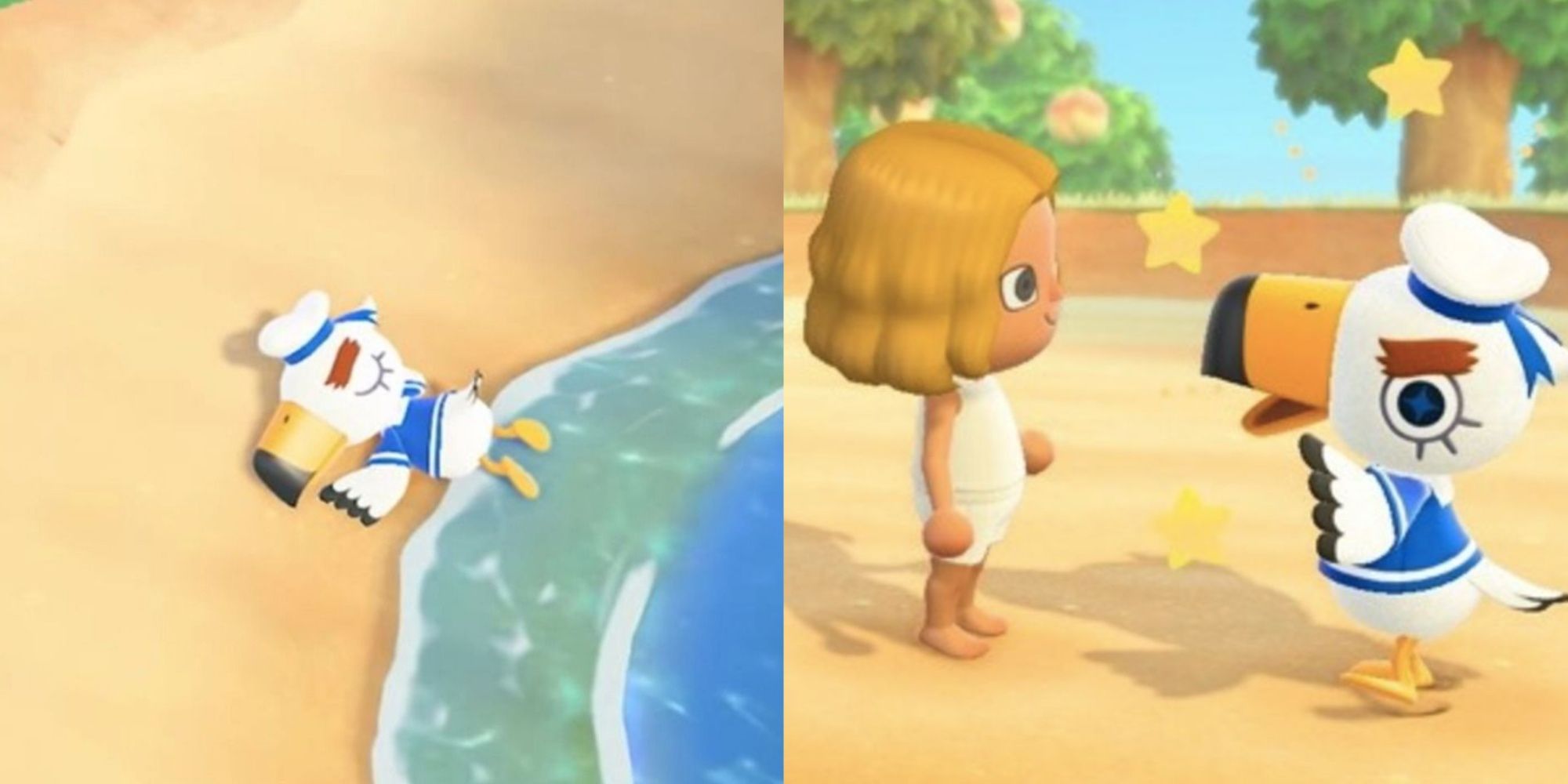 Split image of Gulliver passed out on the beach and a player with Gulliver in Animal Crossing New Horizons