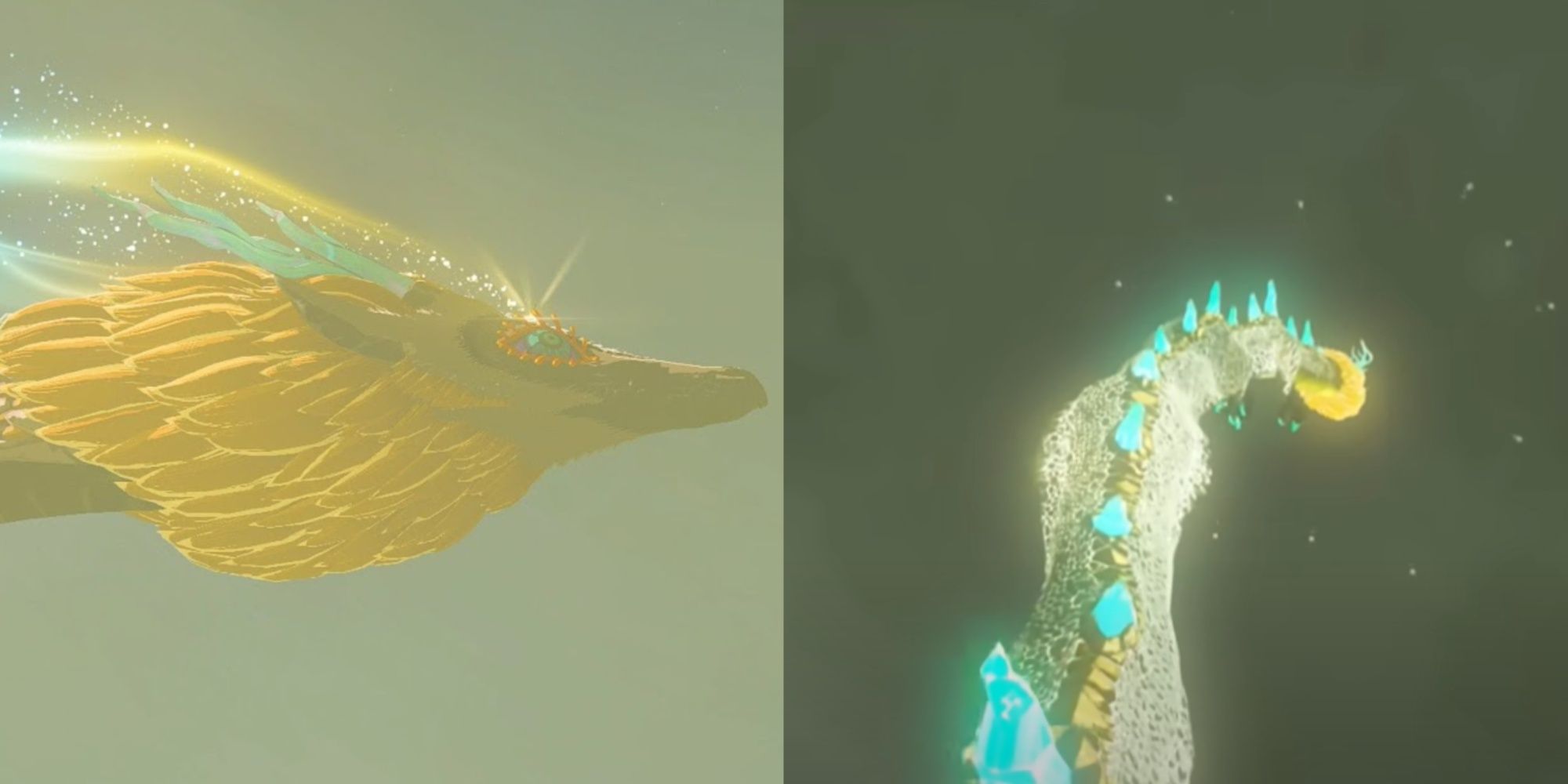 Split image of the Light Dragon from the side and the Light Dragon's tears falling in Tears of the Kingdom