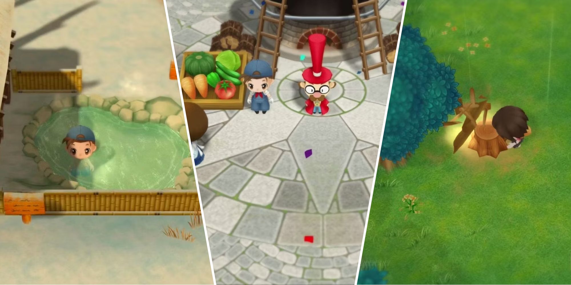 Tips For Getting Started In Story Of Seasons: FoMT