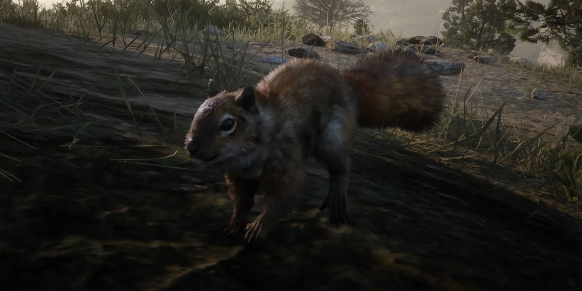 An image of a Squirrel from Red Dead Redemption 2, a small critter that is located around trees.