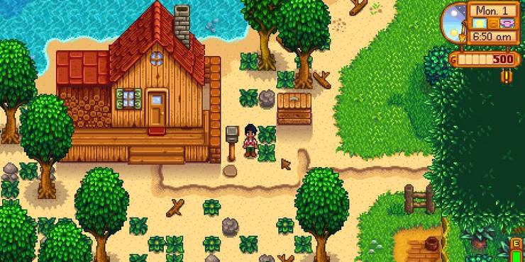 stardew-valley-beach-farm.jpg (740×370)