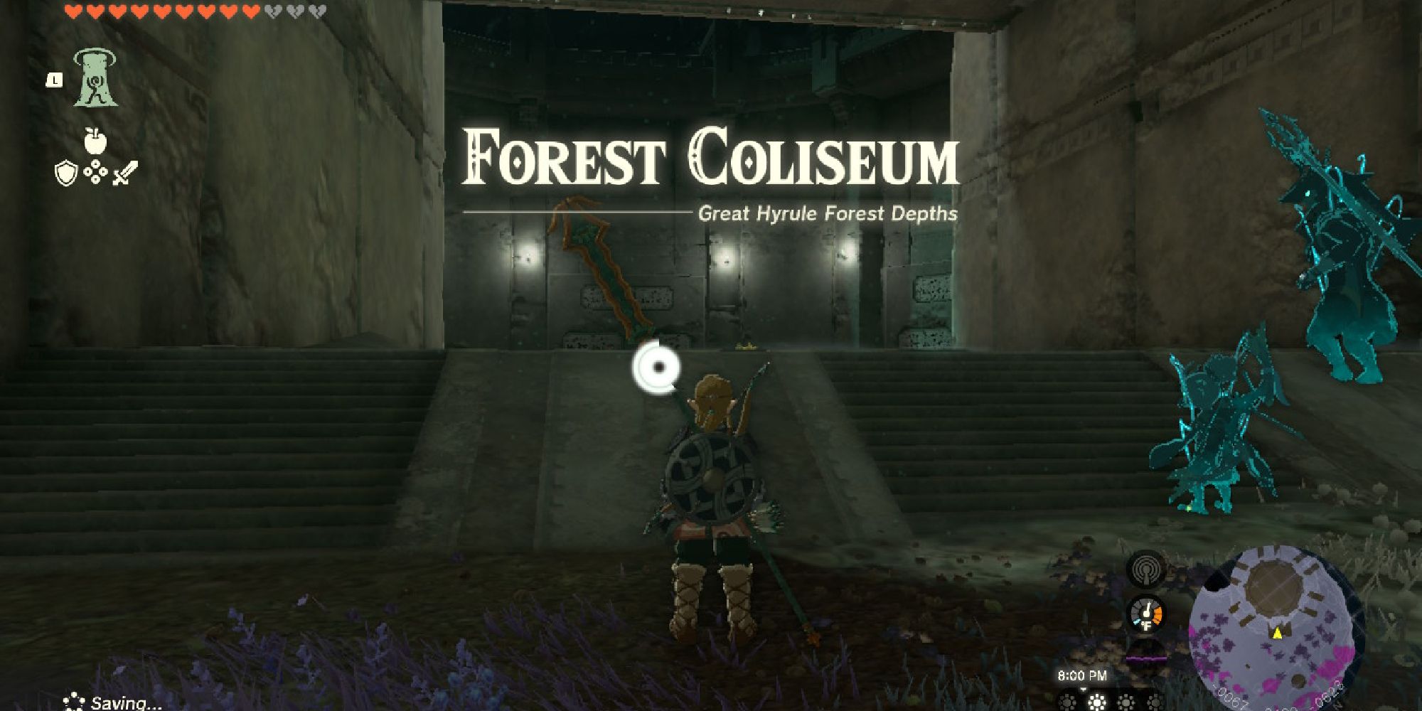 tears of the kingdom link forest colosseum entry