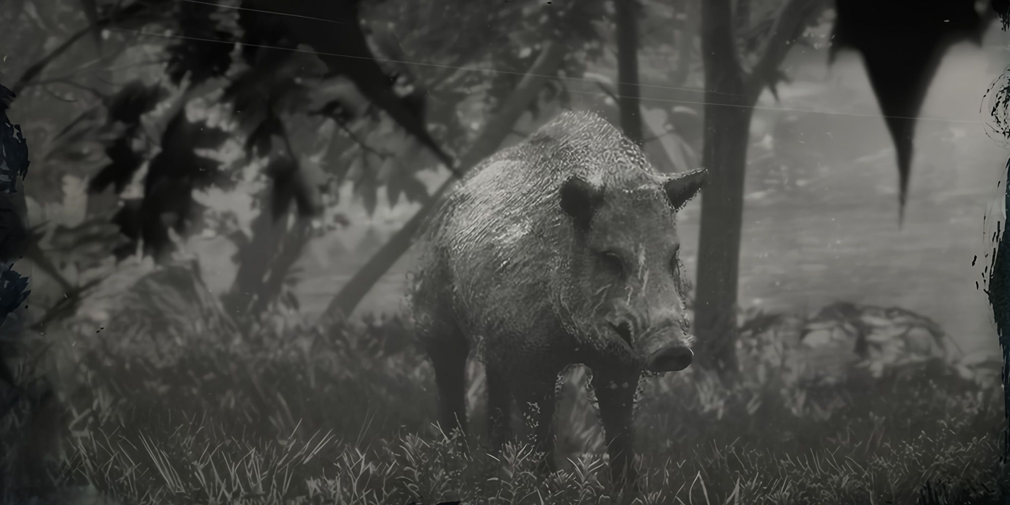 The Legendary Boar in Red Dead Redemption 2