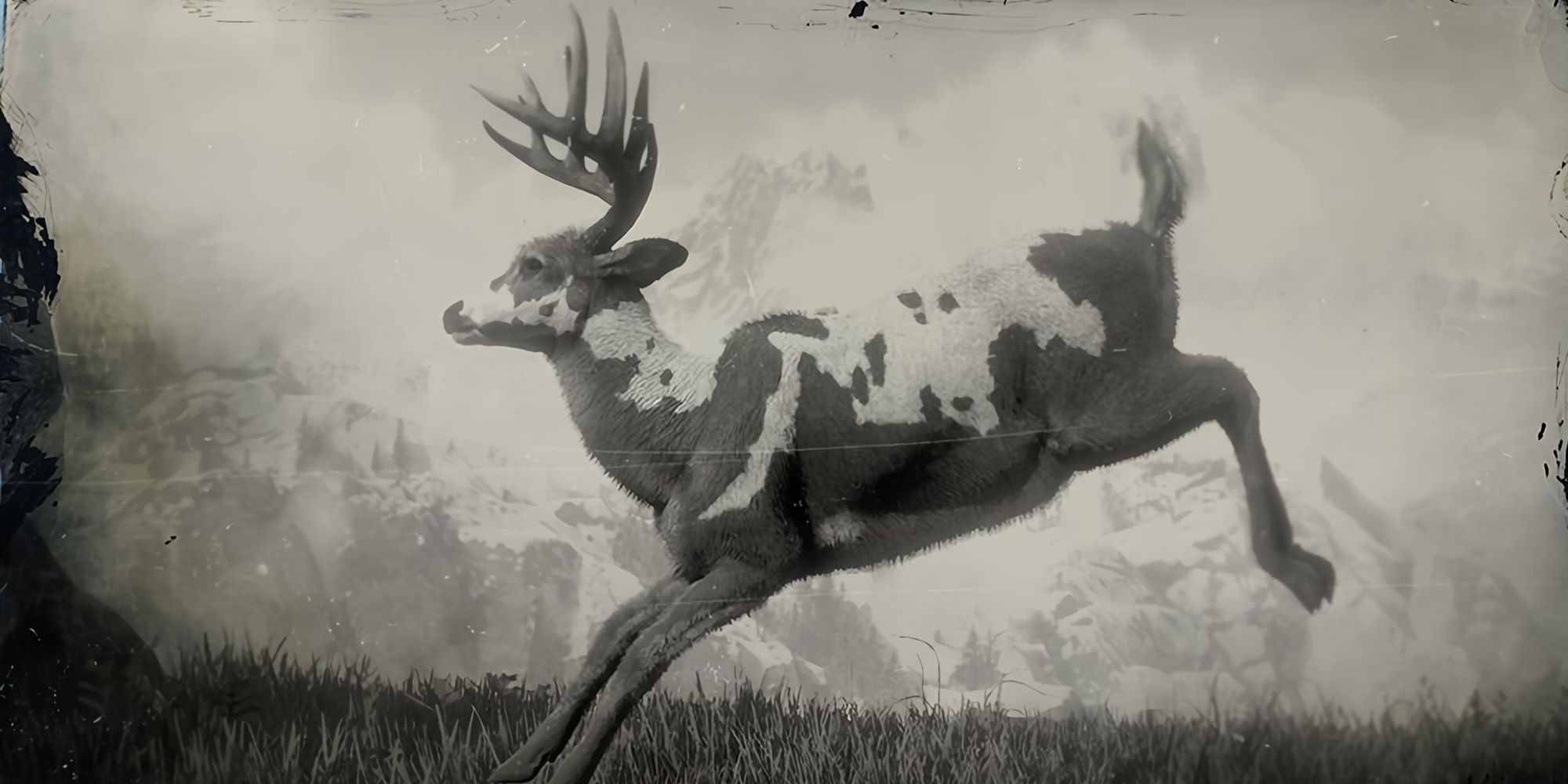 The Legendary Buck in Red Dead Redemption 2