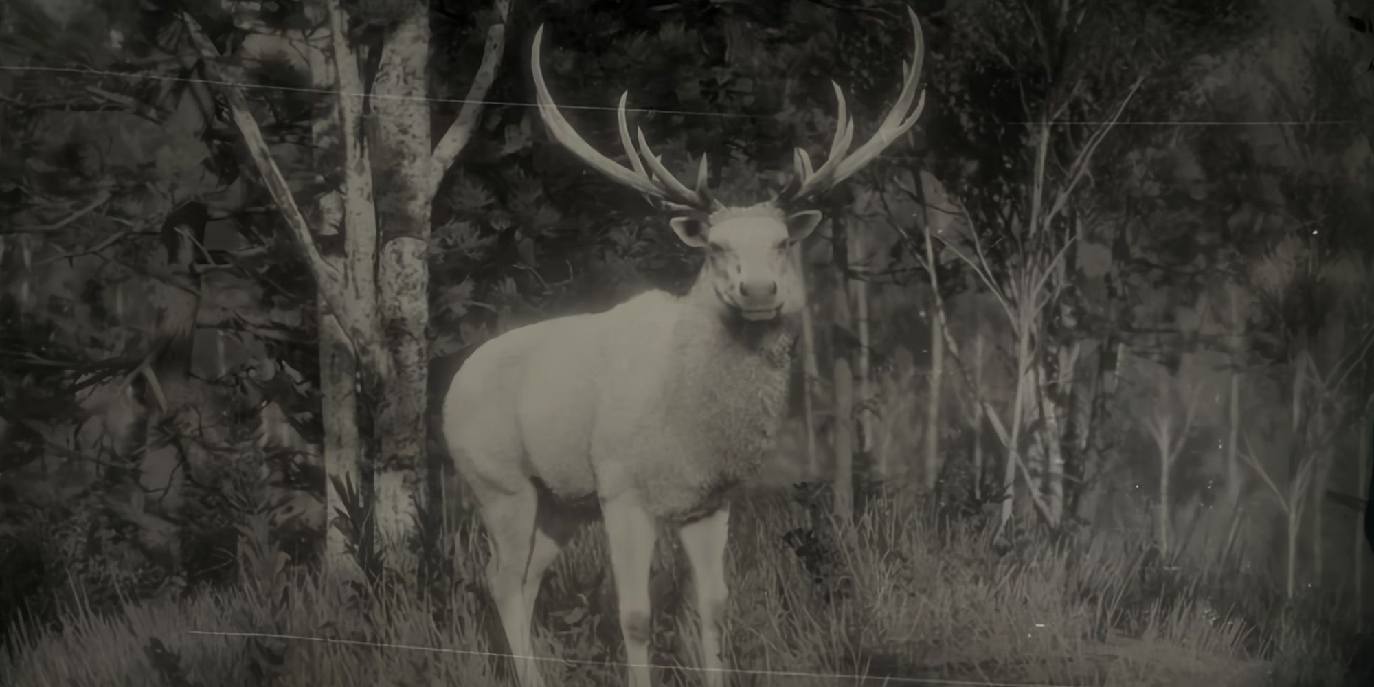 The Legendary Elk in Red Dead Redemption