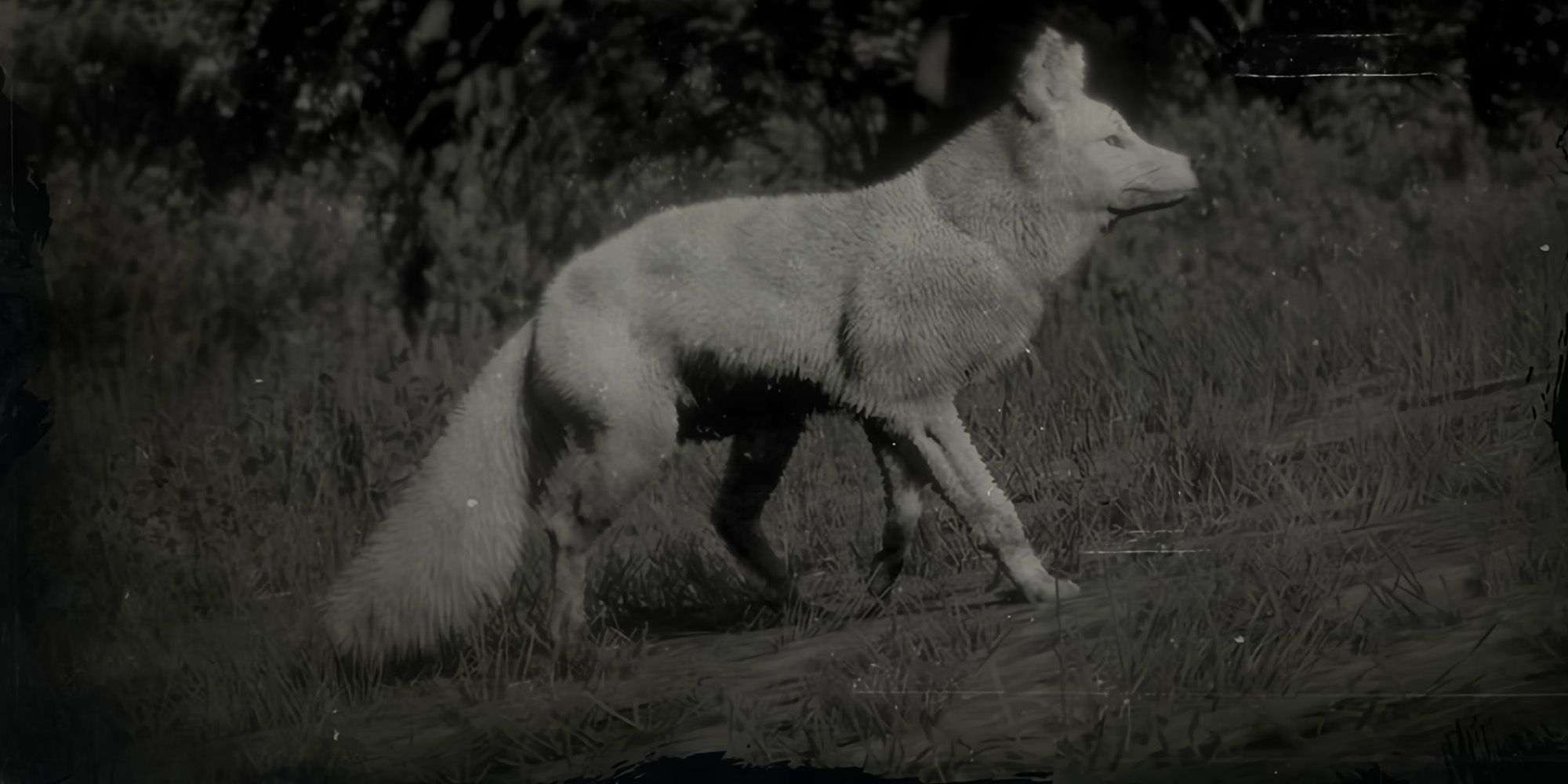 The Legendary Fox in Red Dead Redemption 2