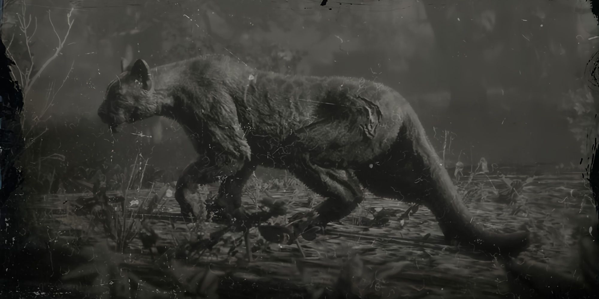 The Legendary Panther in Red Dead Redemption 2