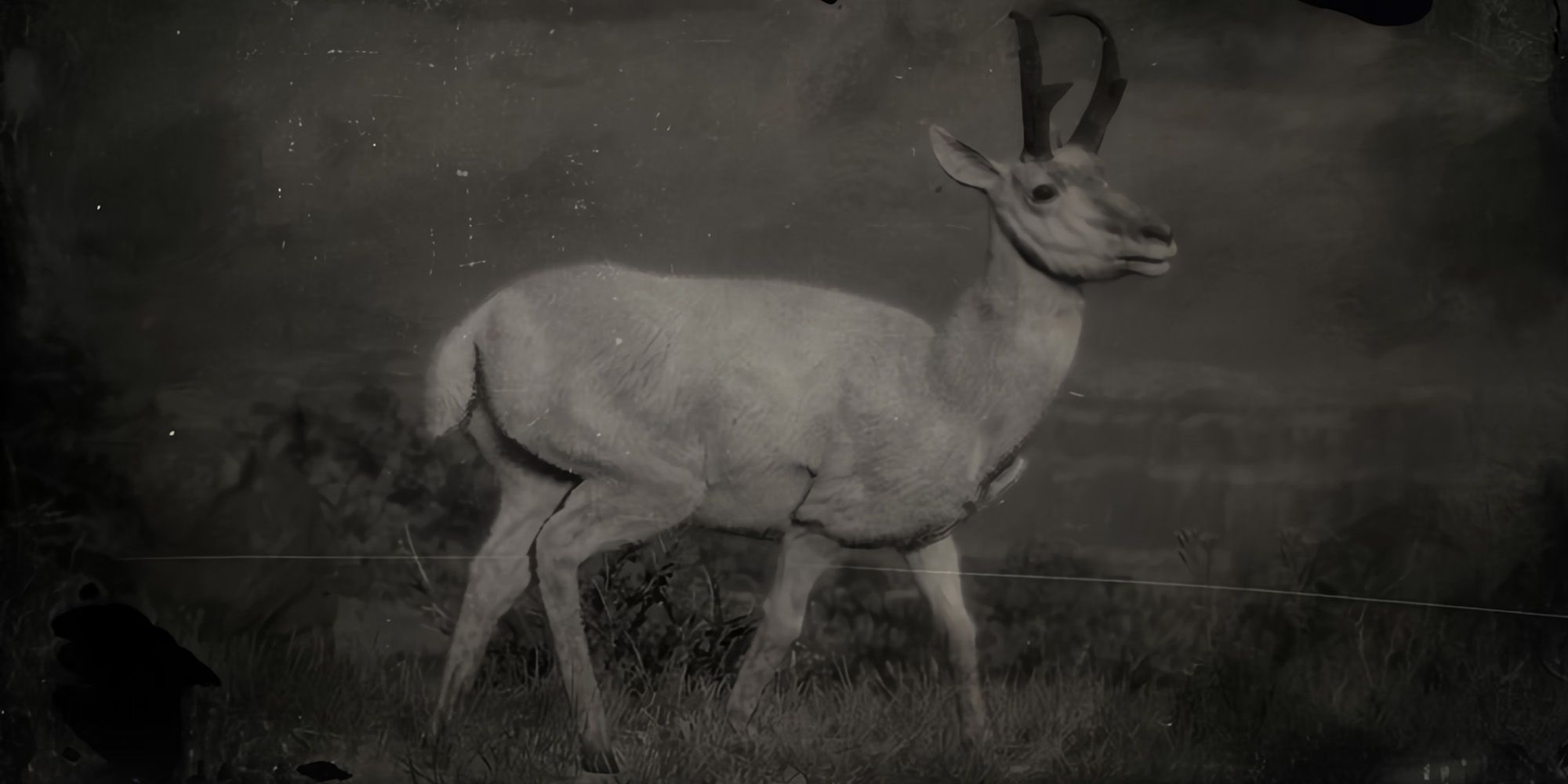 The Legendary Pronghorn in Red Dead Redemption 2