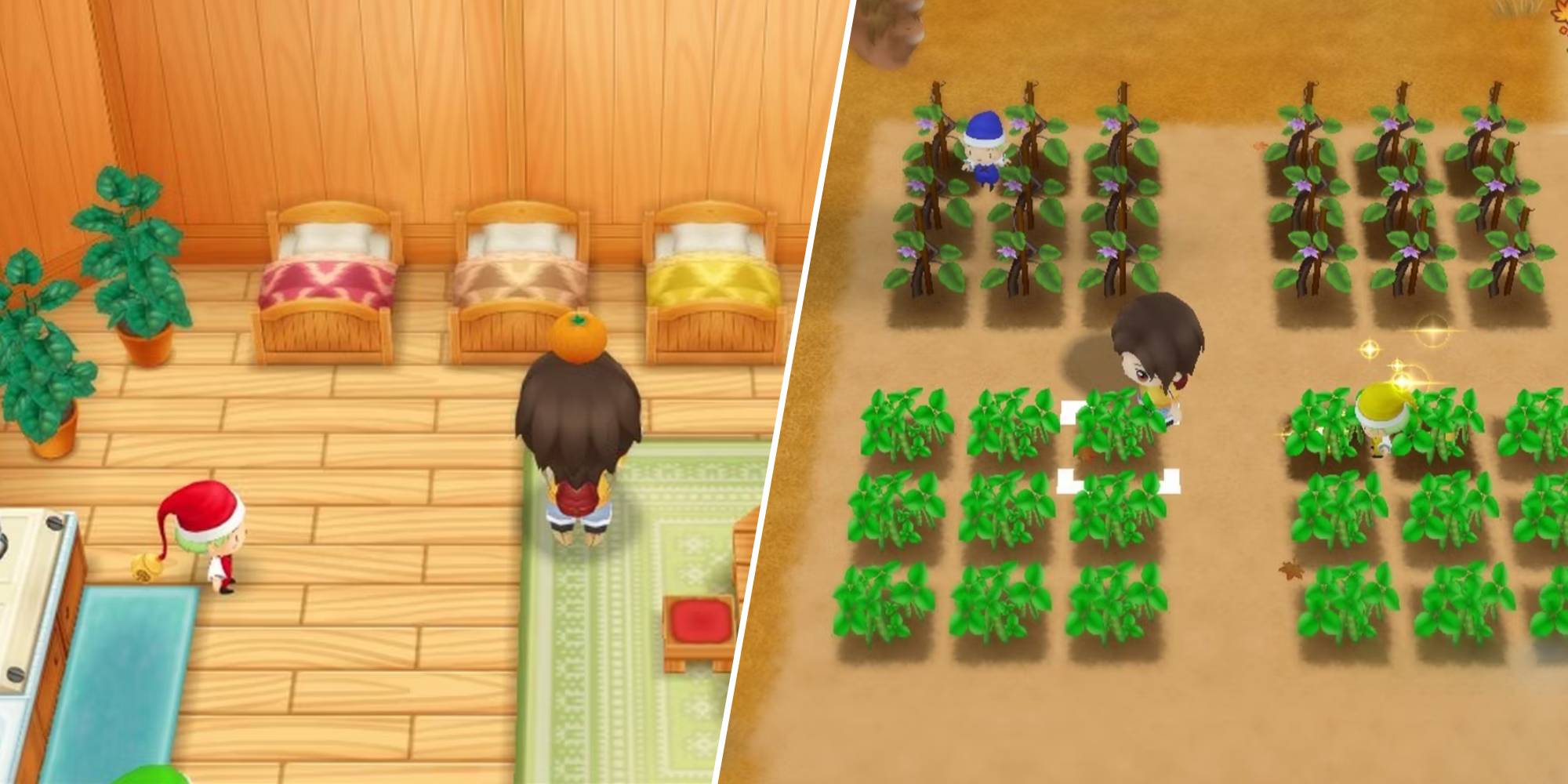 Friends of mineral town sprites