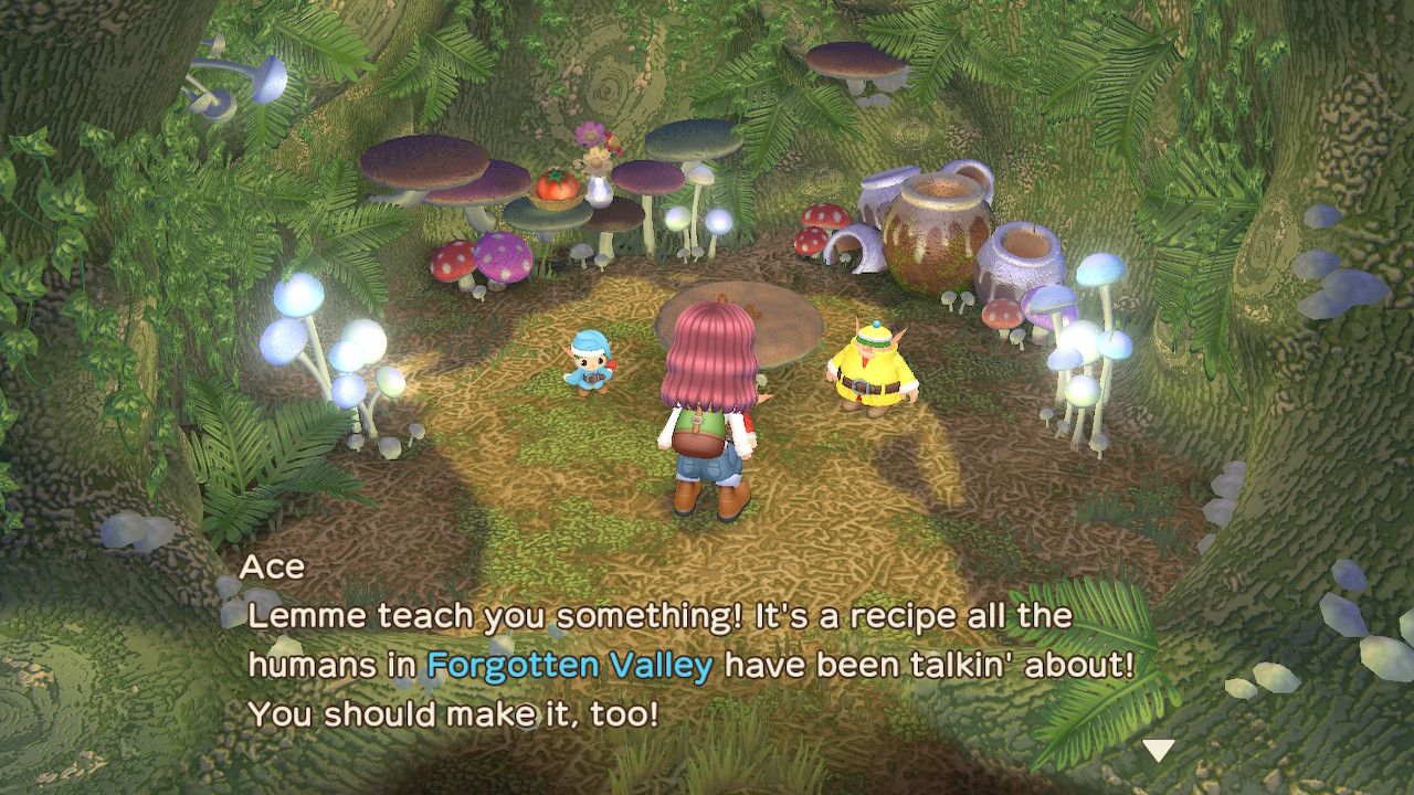the sprites giving you a new recipe story of seasons a wonderful life all recipes
