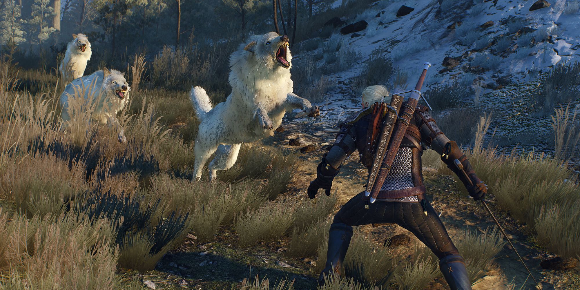 Geralt trifft in The Witcher 3 auf einige weiße Wölfe