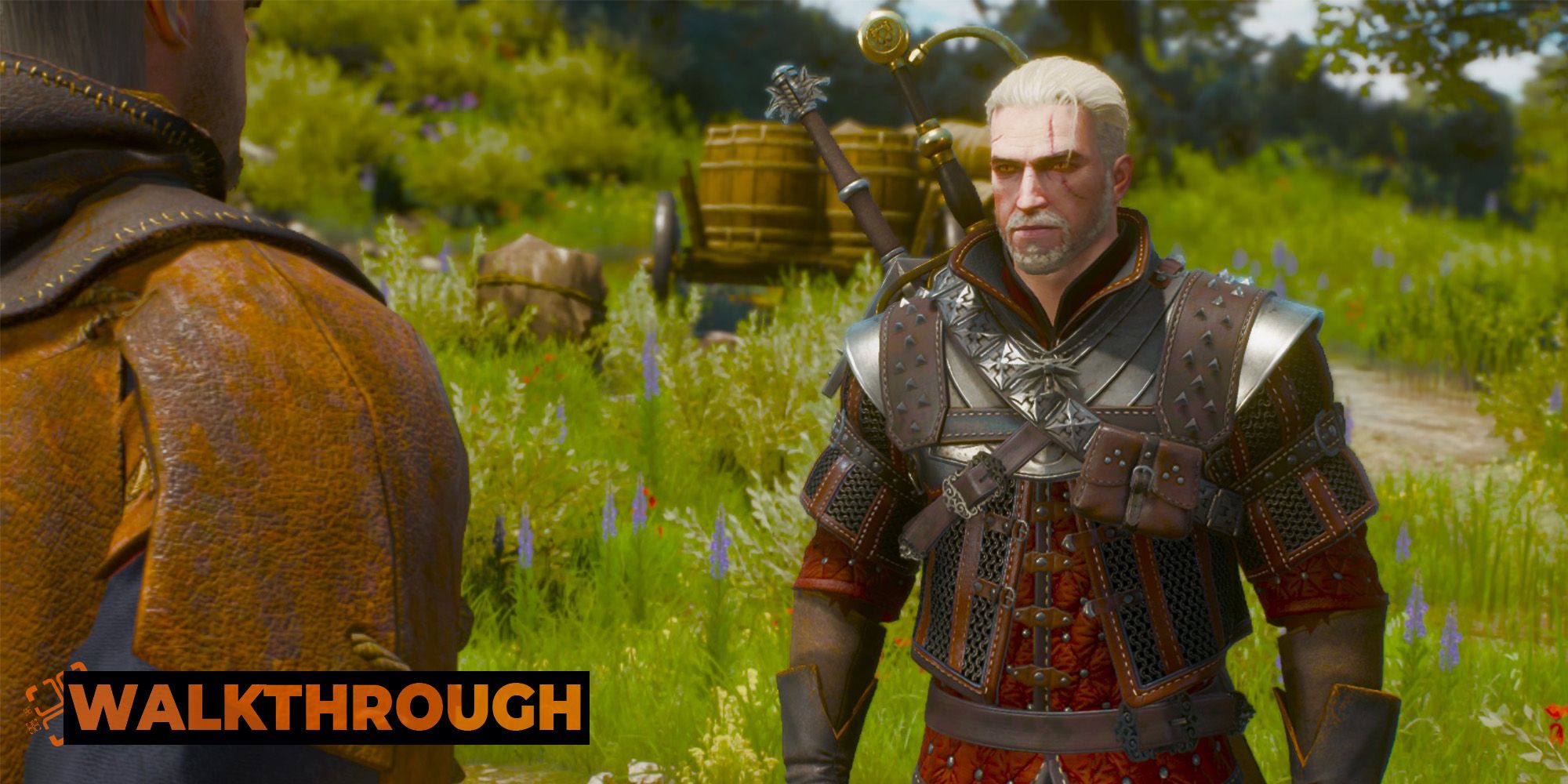 A screenshot of Geralt standing talking to a merchant in the hills of Toussaint.