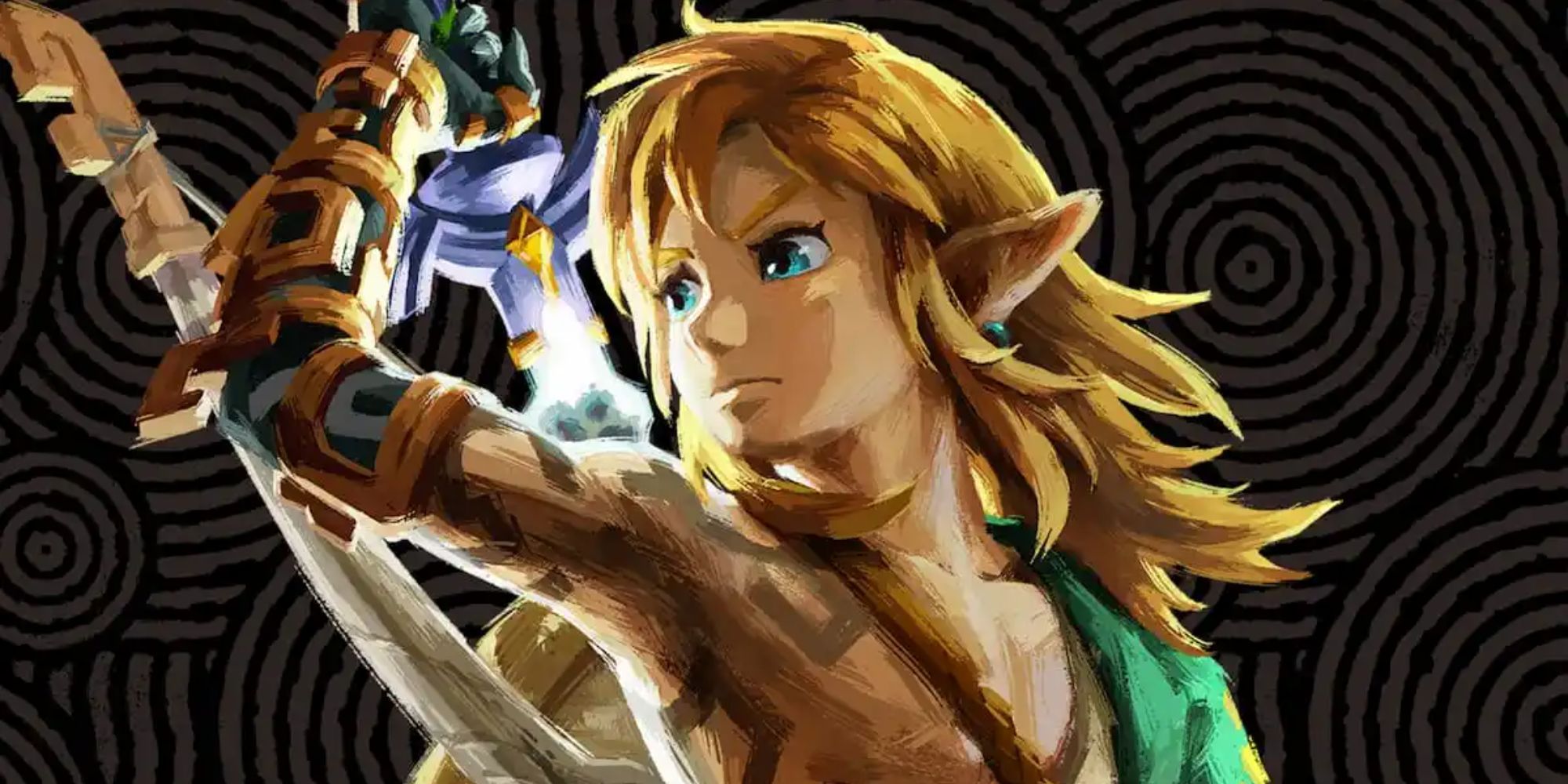 Zelda Tears of the Kingdom Link official art
