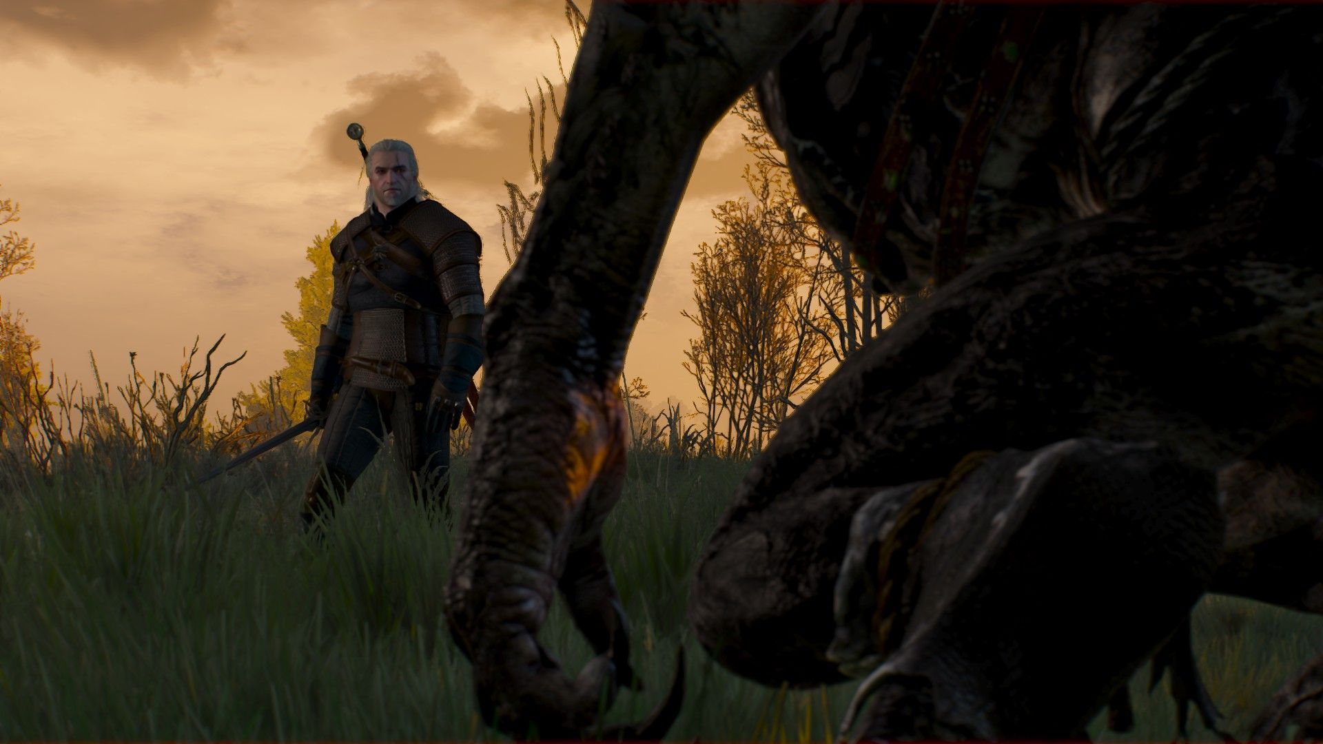 Geralt approaches a werewolf in the swamps of Velen with his sword drawn.