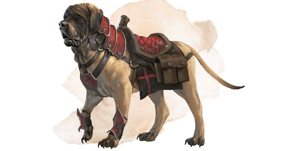 How To Handle Animal Companions And Pets In DND