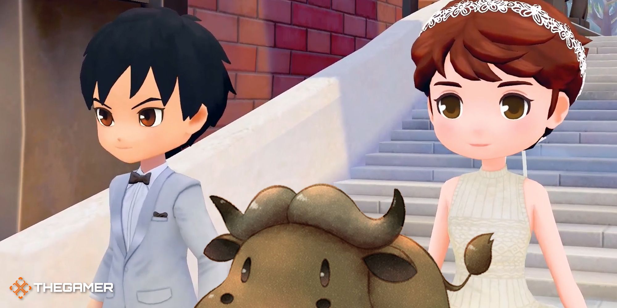 8-Story Of Seasons Pioneers Of Olive Town Guide To Marriage And Divorce