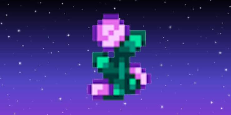 a-fairy-rose-from-stardew-valley-in-front-of-a-pixel-night-sky-background.jpg (740×370)