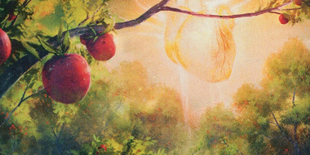 Bountiful Harvest by Jason Chan