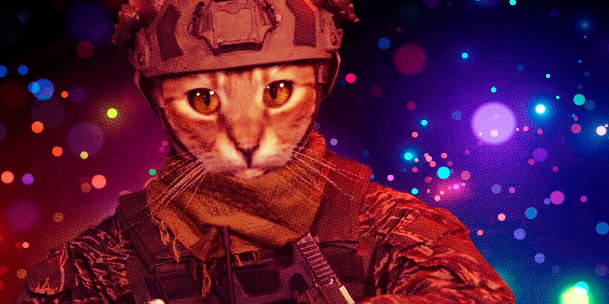Call of Duty cat people