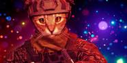 Call Of Duty s Whisker Tango Bundle Is The Perfect Kind Of Ridiculous