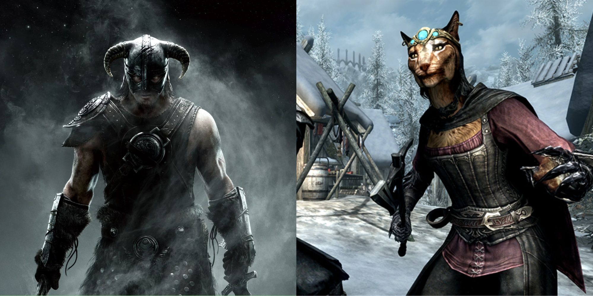 A collage showing the Dragorn born in mist and a Khajiit character.