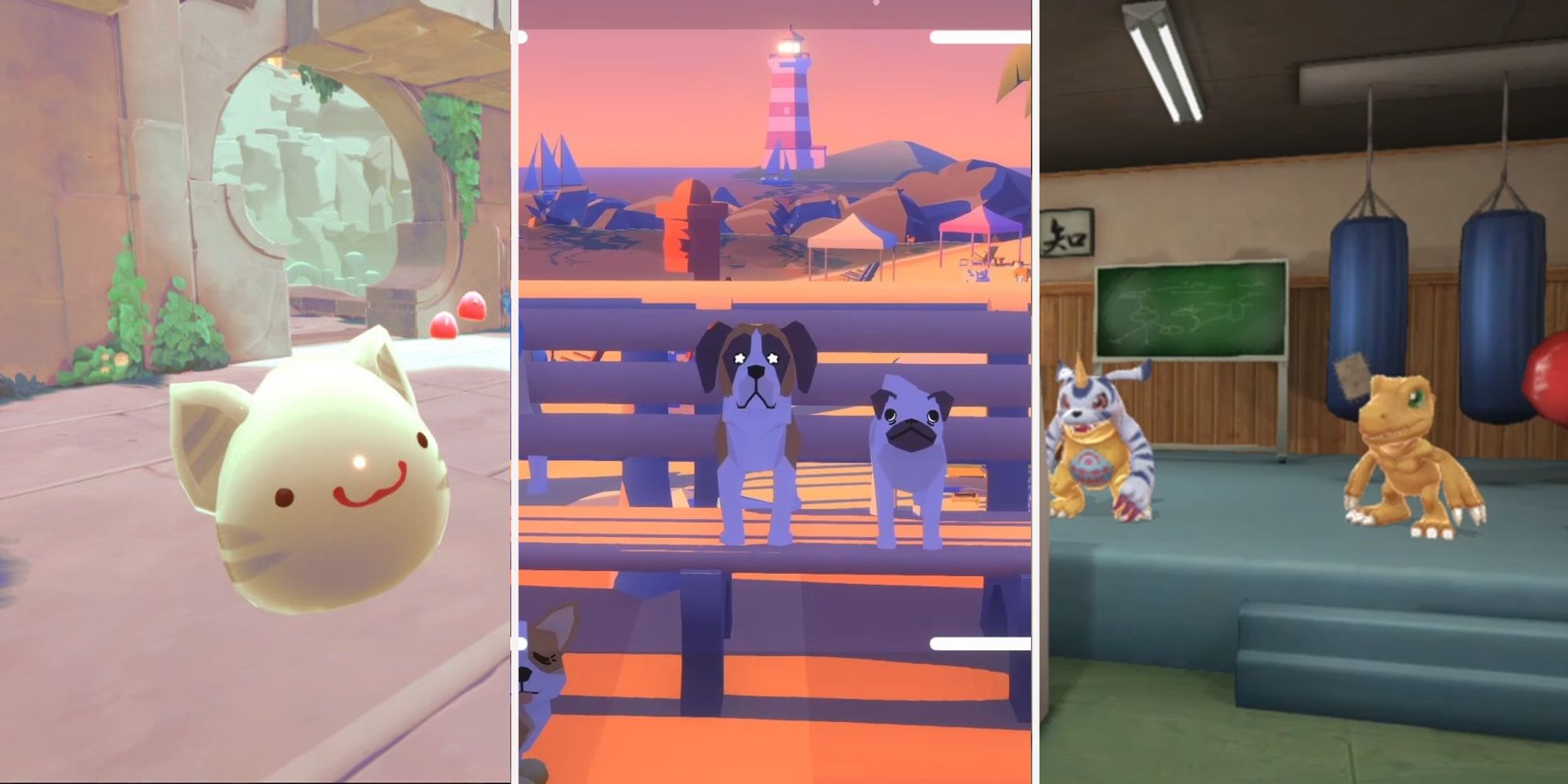 A Cat Slime, Dogs on a Bench, and Digimon in a training room