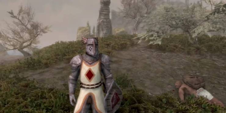 divine-paladin-dragonborn-wearing-crusader-armor.jpg (740×370)