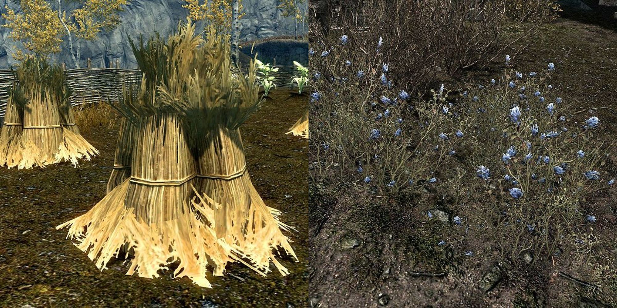 Best Healing Potion Recipes In <b>Skyrim</b>.