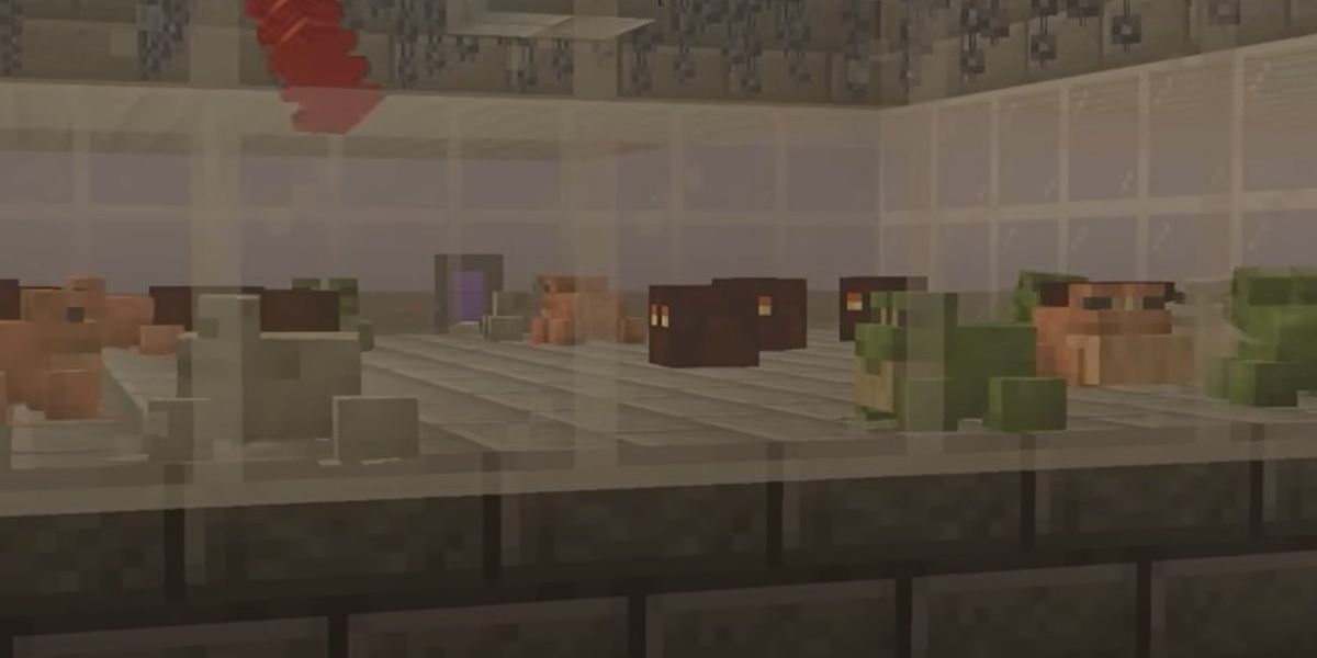 Minecraft Frogs In A Glass Box With Magma Cubes