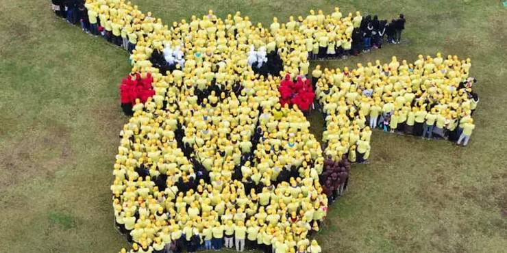 human-pikachu-record.jpg (740×370)