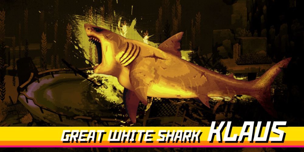 Klaus the Great White Shark preparing to attack