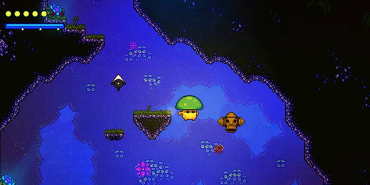 lone-fungus.jpg (740×370)