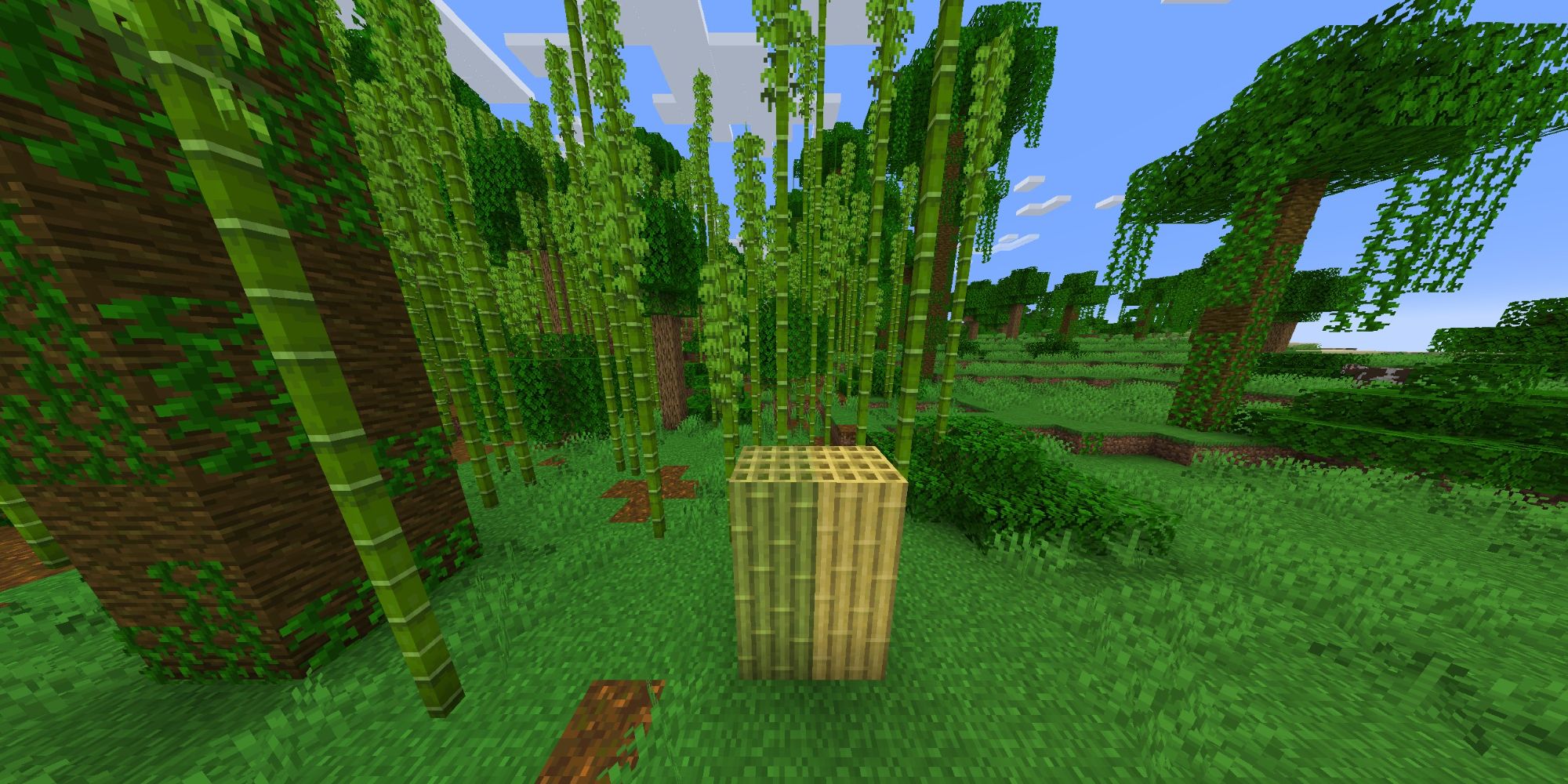 An image from Minecraft of two Bamboo Blocks. These blocks can be crafted out of bamboo shoots, which are collected from jungle biomes or a bamboo forest. 