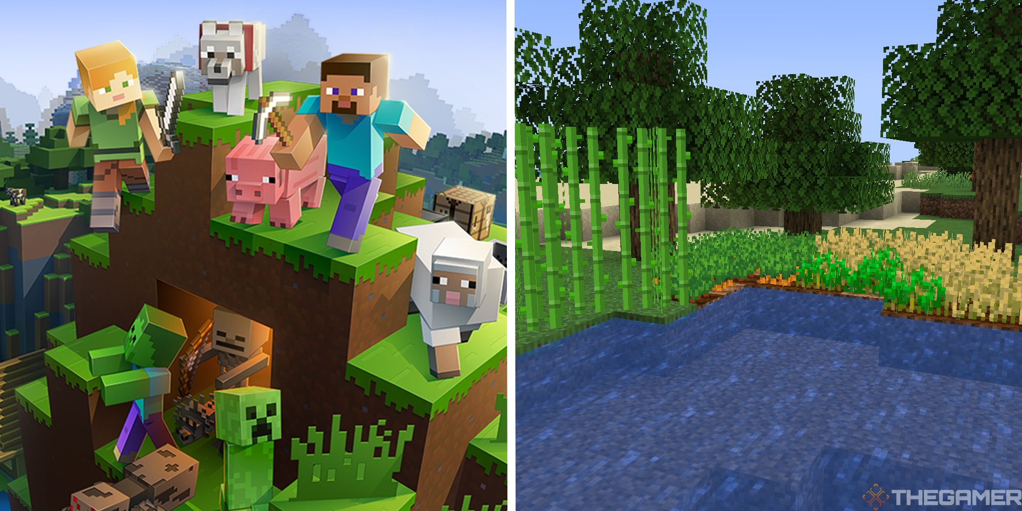 split image showing minecraft promotional art next to image of sugarcane, wheat and carrots growing
