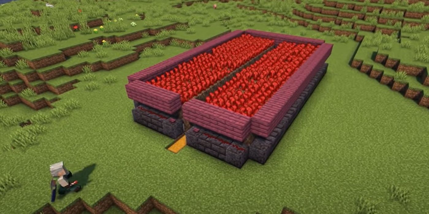 Minecraft Player Beside A Giant Nether Wart Farm With Warped Wood Redstone 