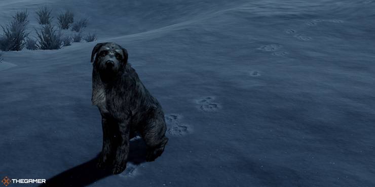skyrim-footprints-mod-gameplay-screenshot-with-dog.jpg (740×370)